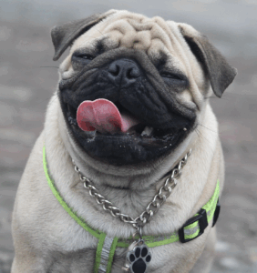 capture d’écran 2025 11 07 à 10.27.36